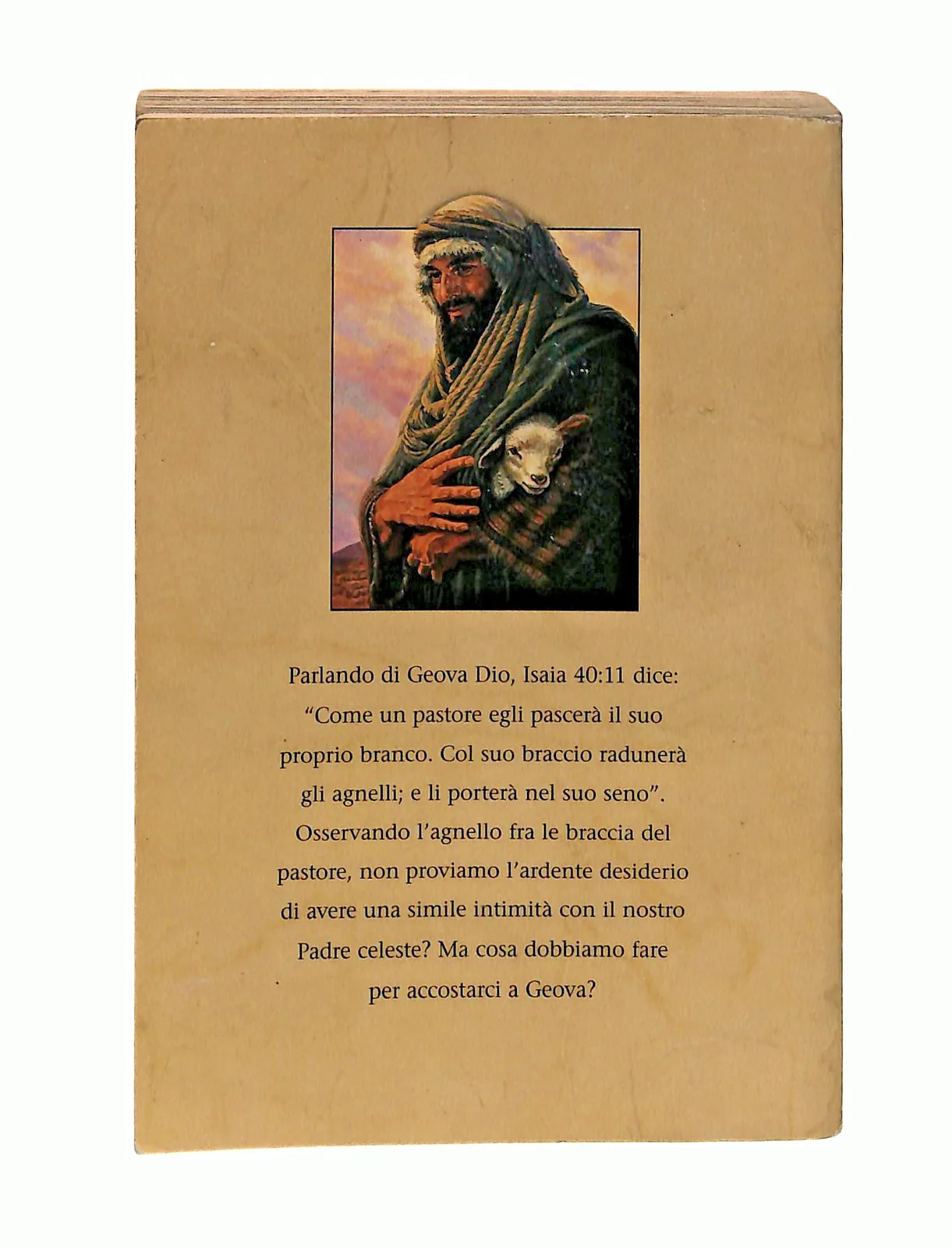 Immagine prodotto 2