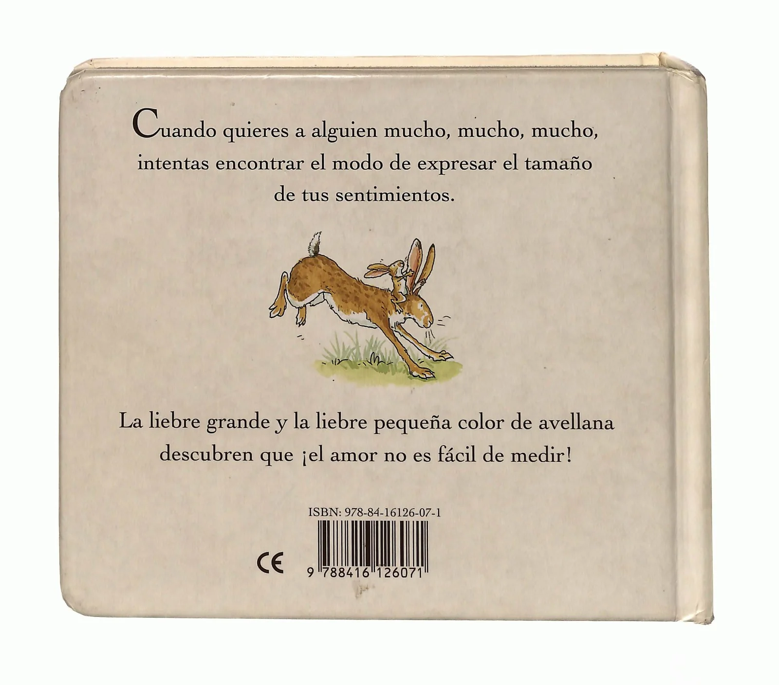 Immagine prodotto 2