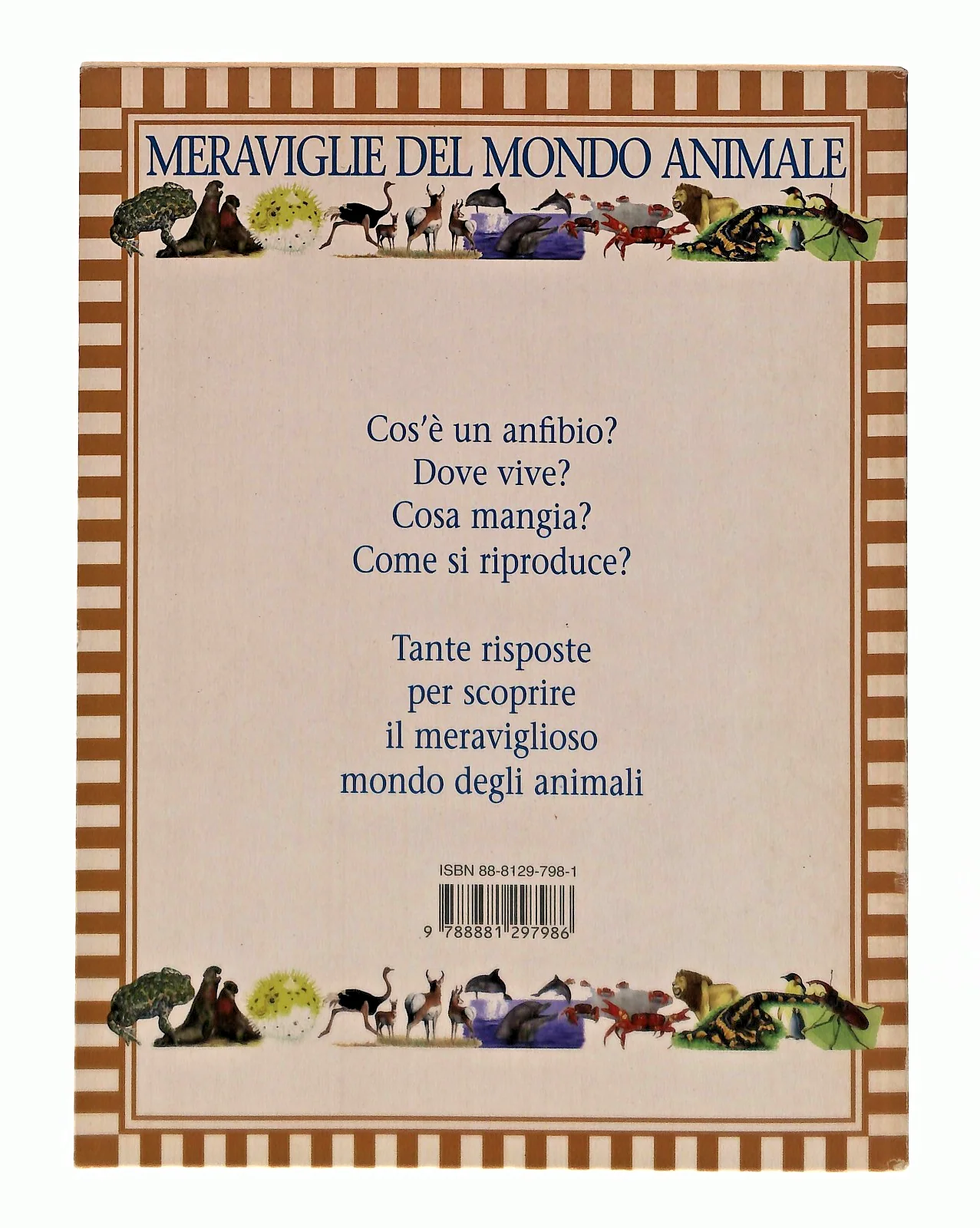 Immagine prodotto 2