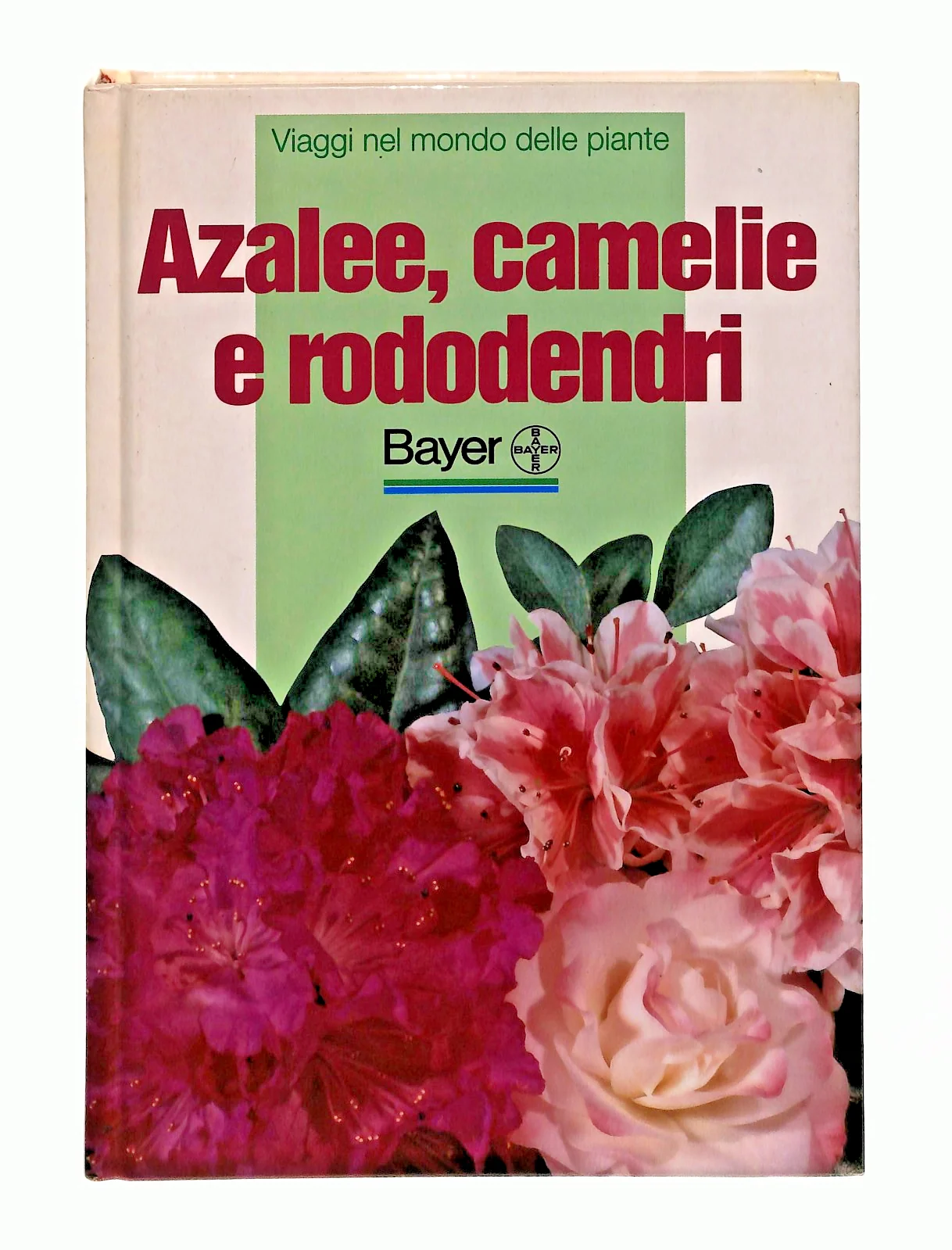 Immagine prodotto 1