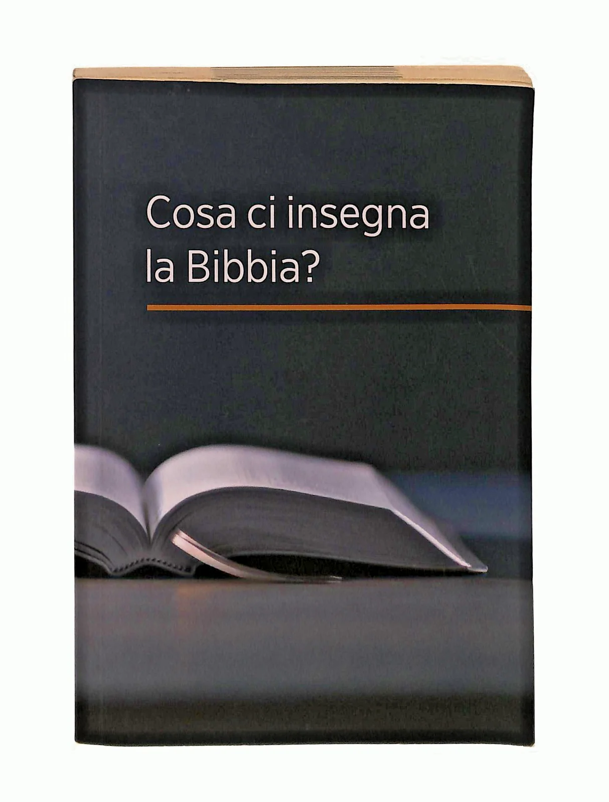 Immagine prodotto 1