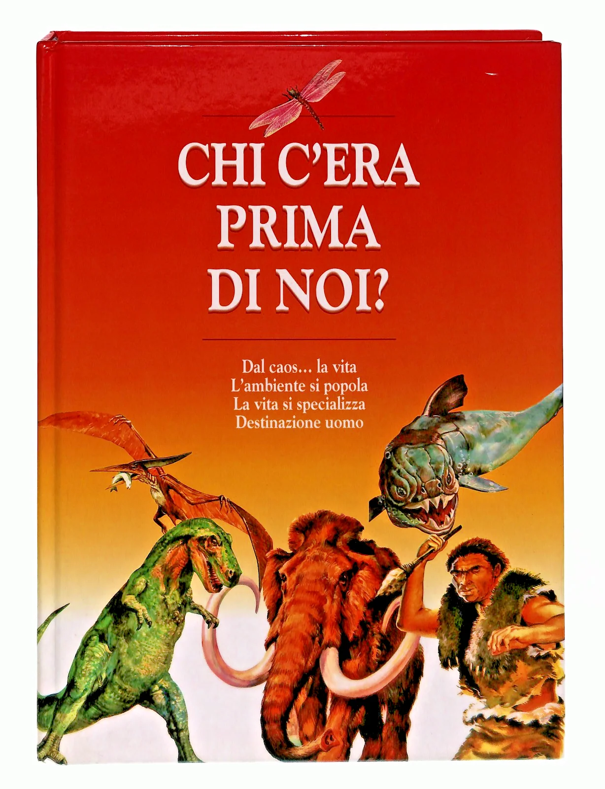Immagine prodotto 1