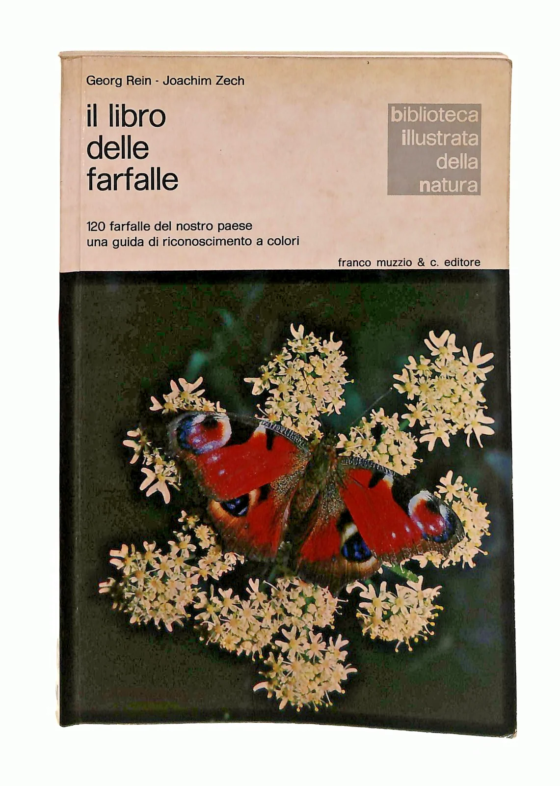 Immagine prodotto 1