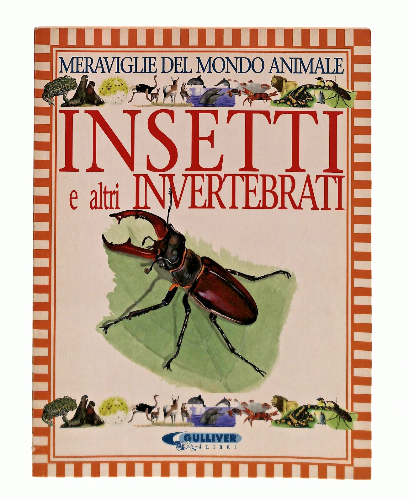 Immagine prodotto 1