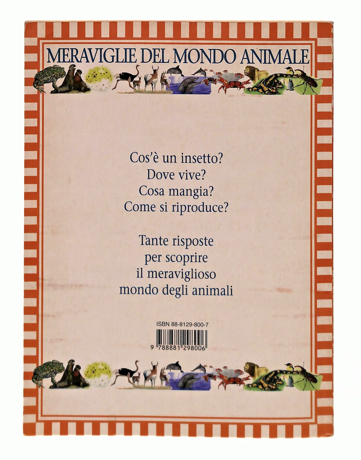 Immagine prodotto 2