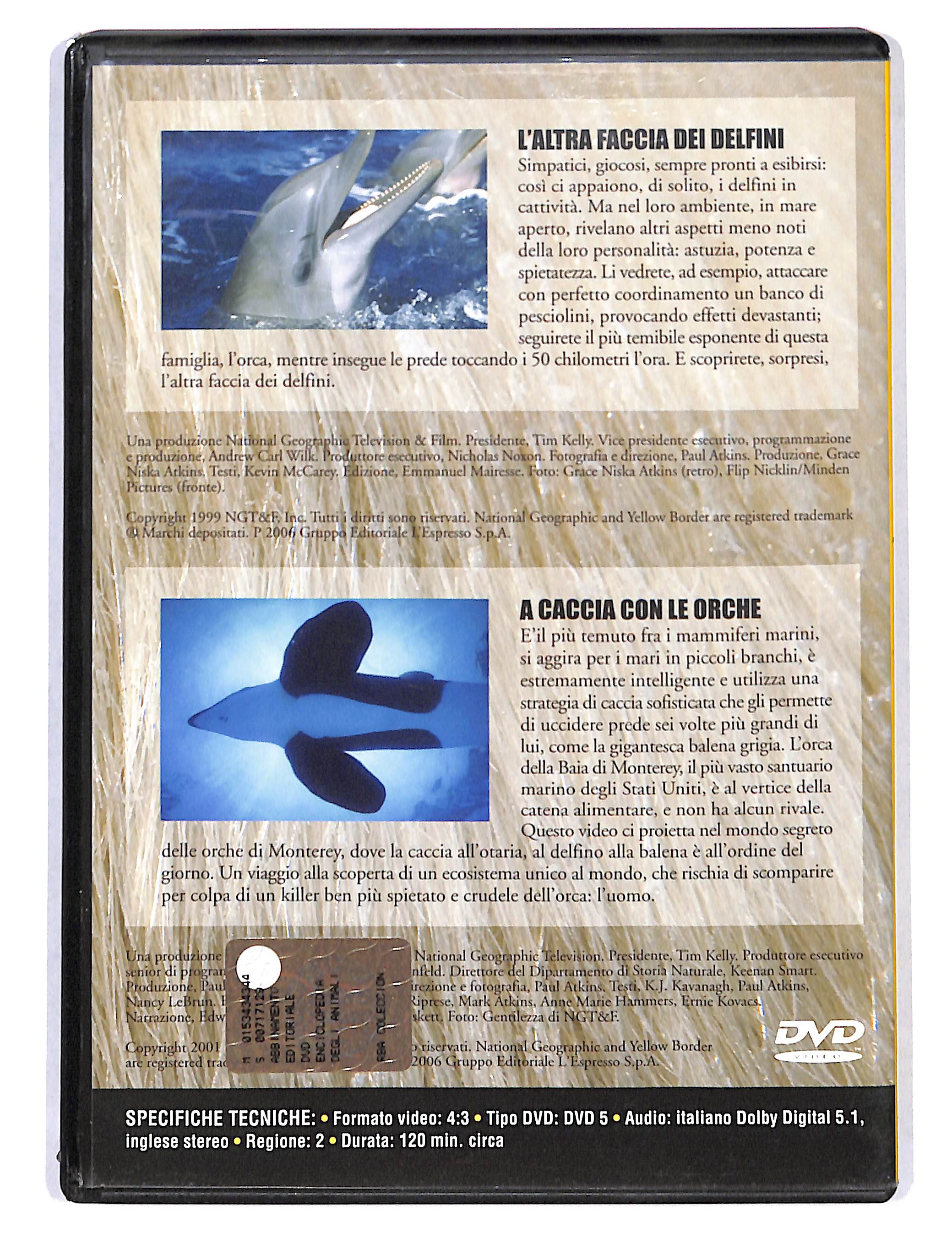 Immagine prodotto 2