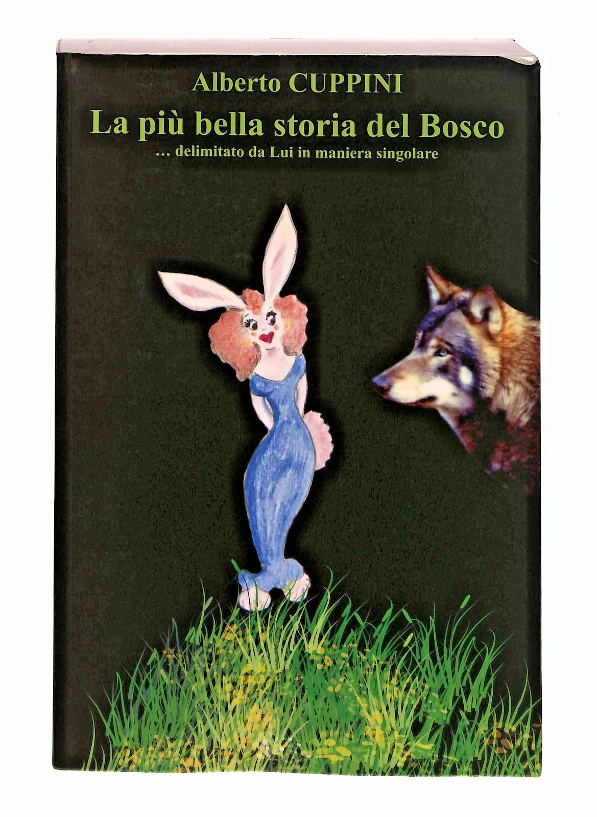 Immagine prodotto 1