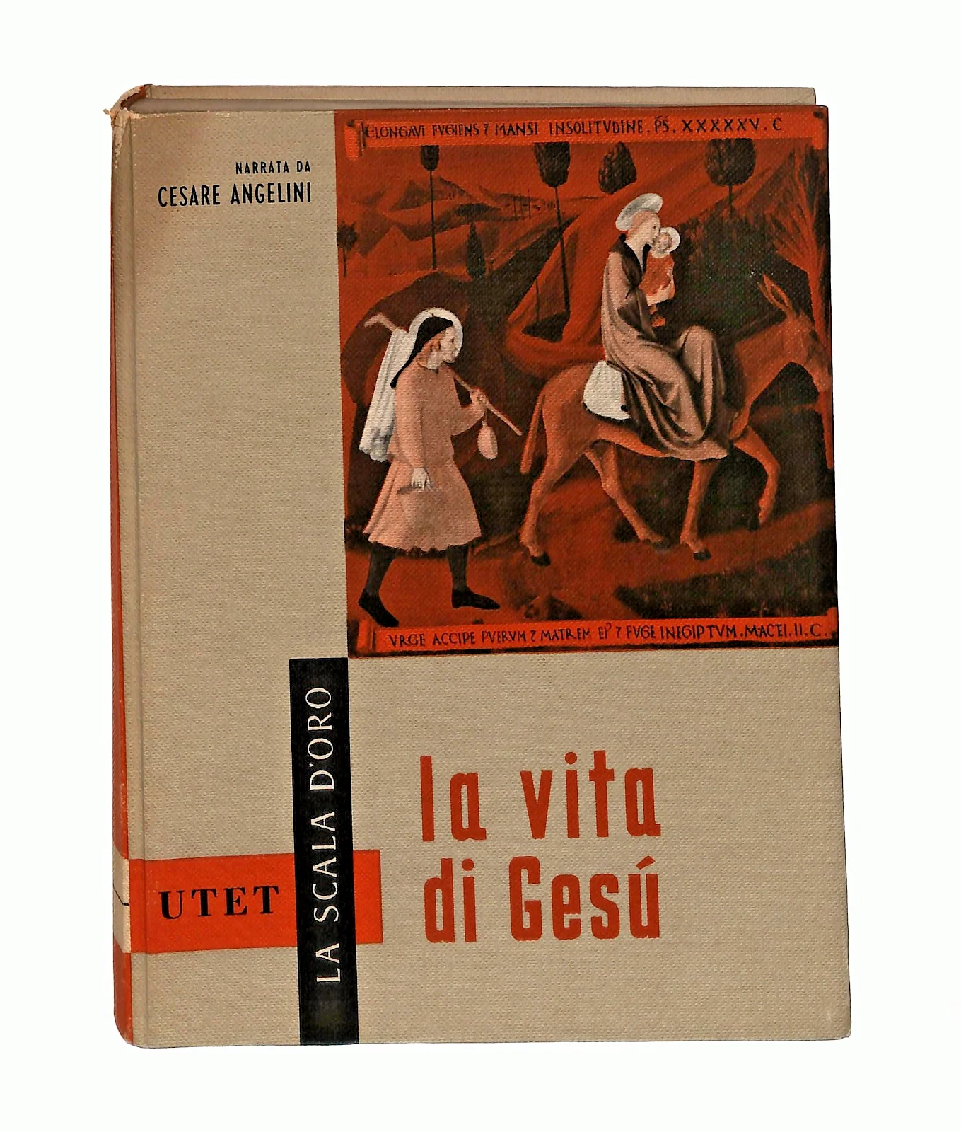 Immagine prodotto 1