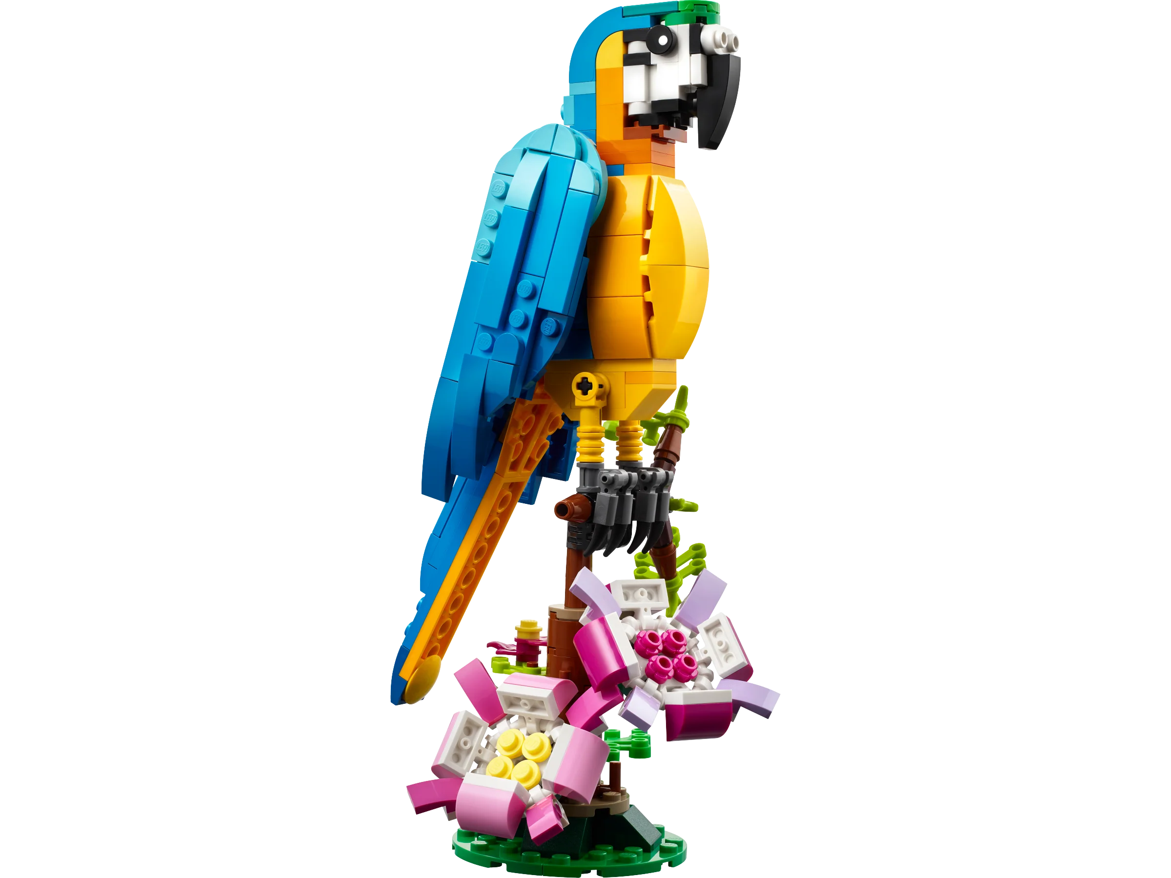 Miniatura 1