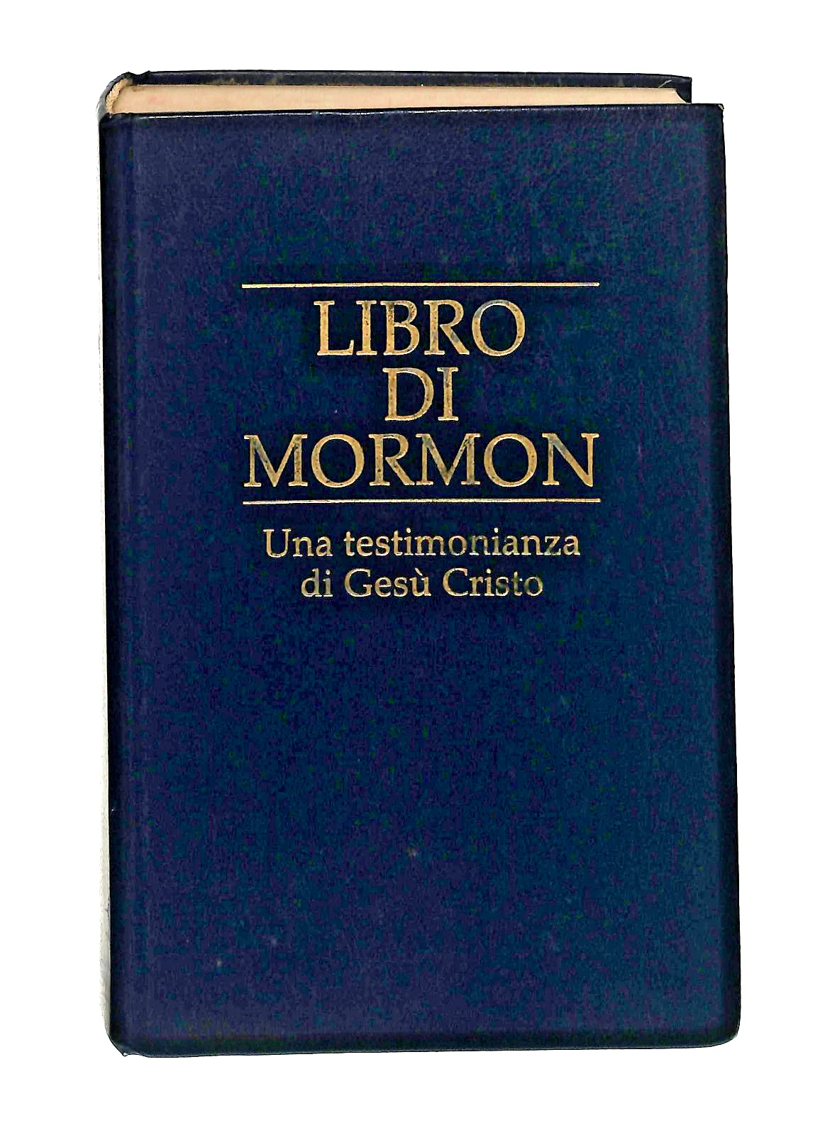 Immagine prodotto 1