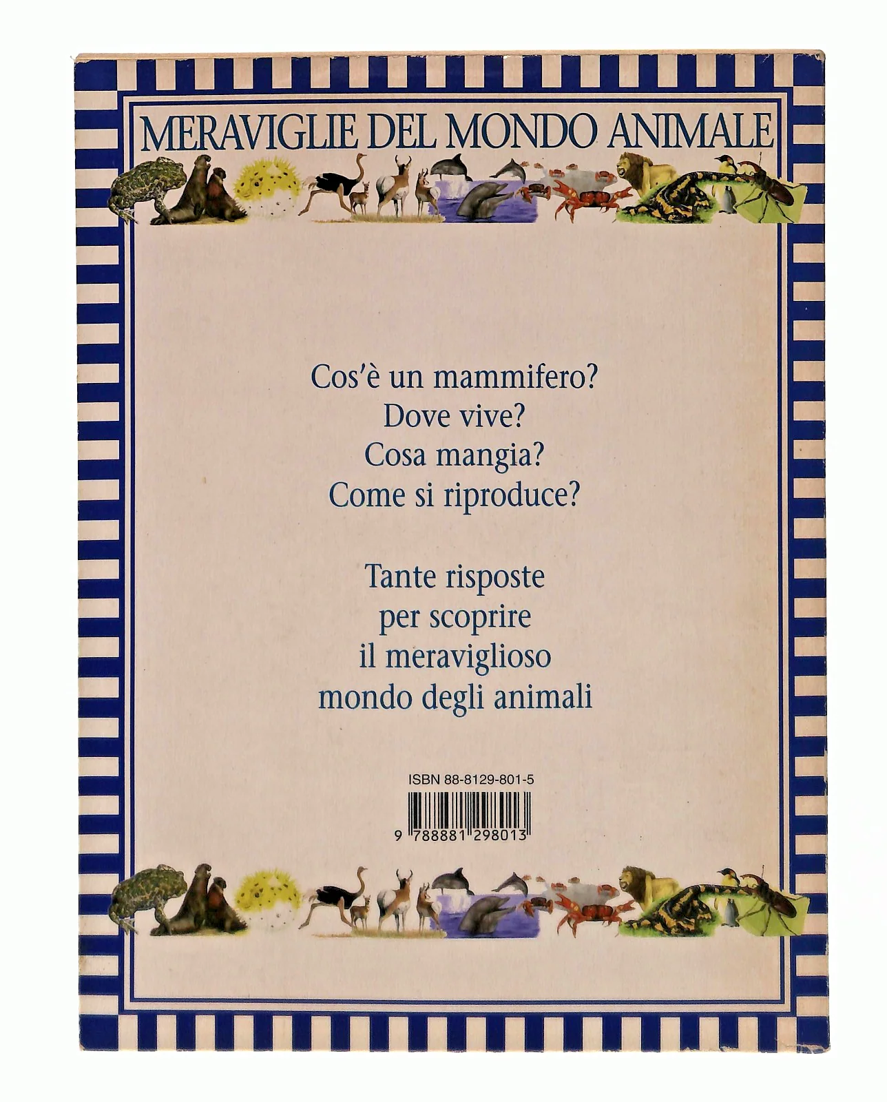 Immagine prodotto 2