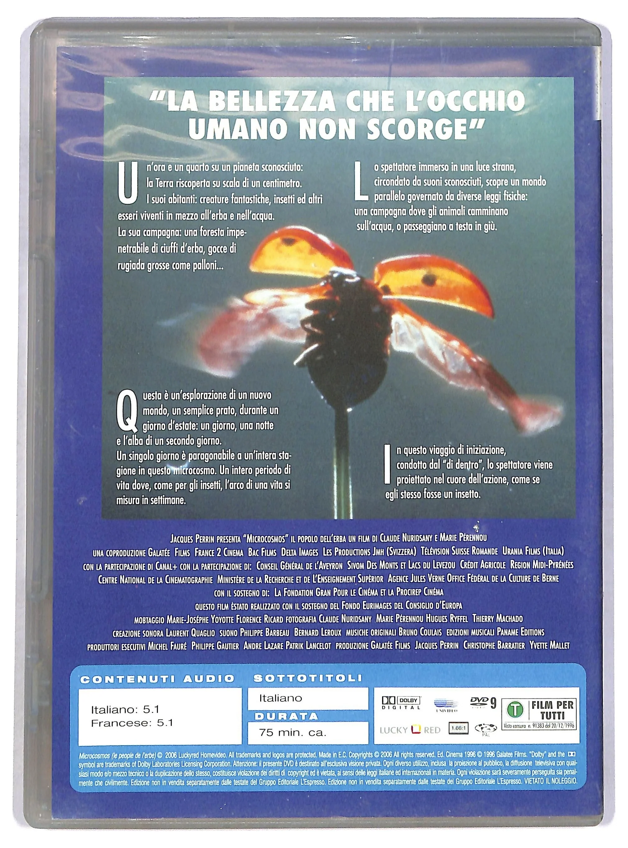 Immagine prodotto 2