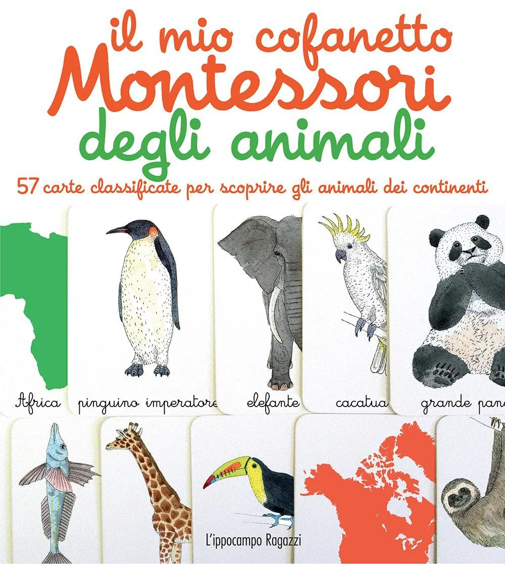 Immagine prodotto 1