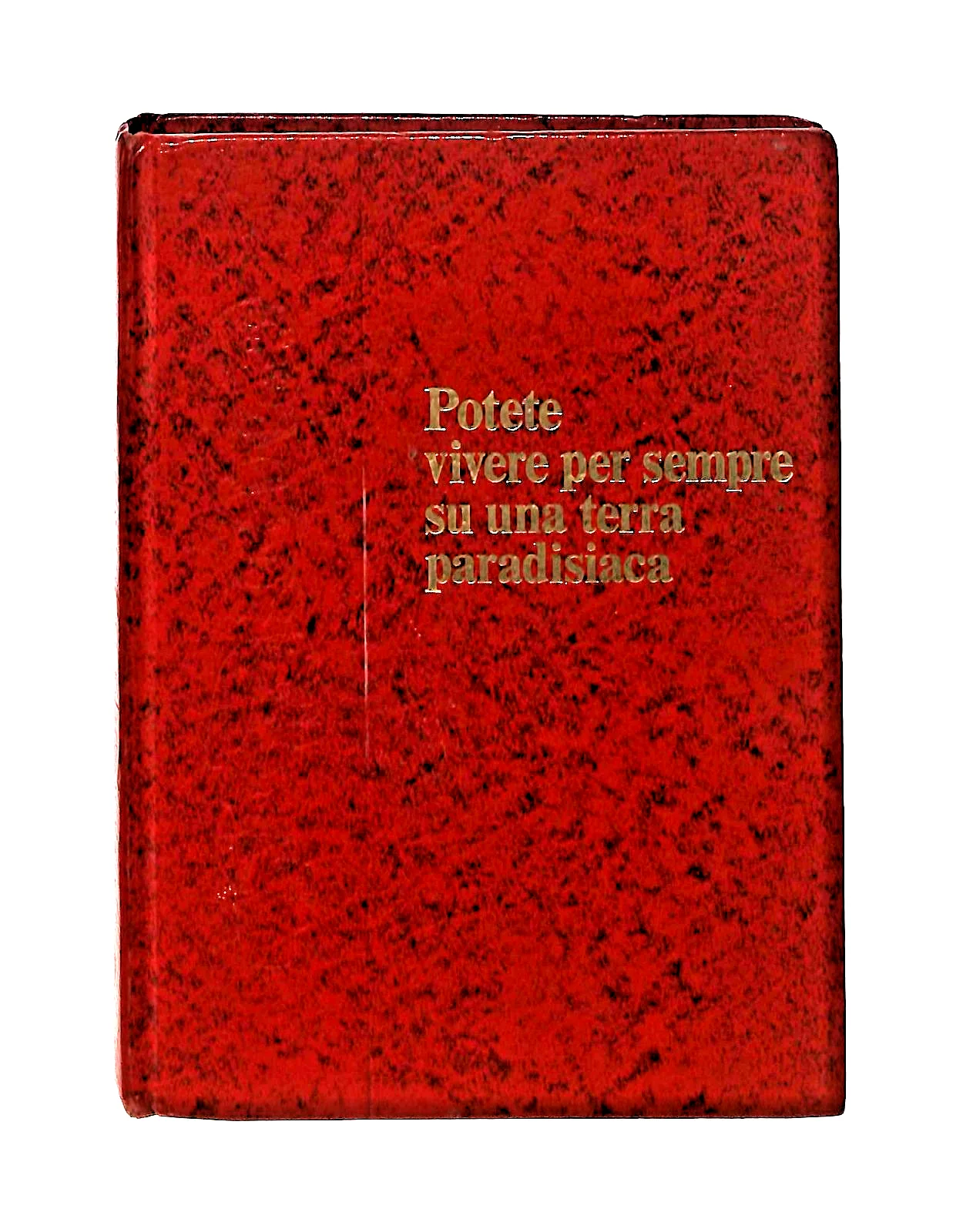 Immagine prodotto 1