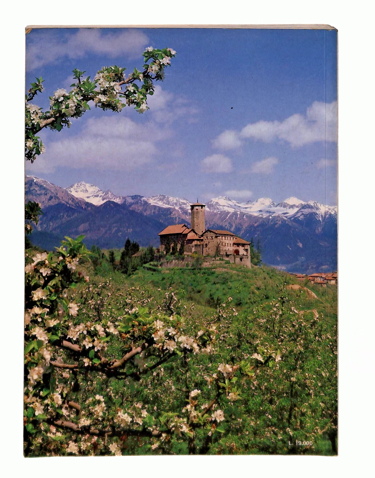 Immagine prodotto 2